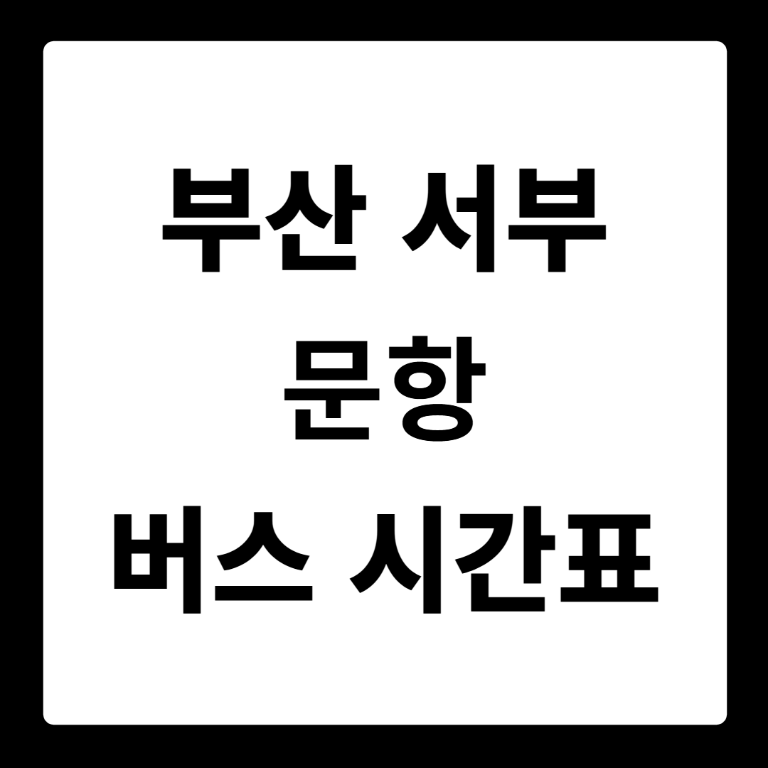 부산 서부 문항 버스 시간표
