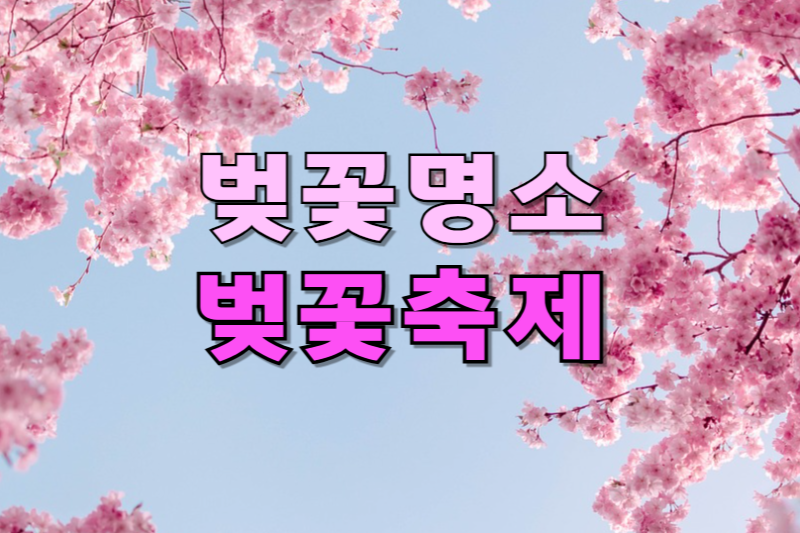 벚꽃축제 벚꽃명소 썸네일