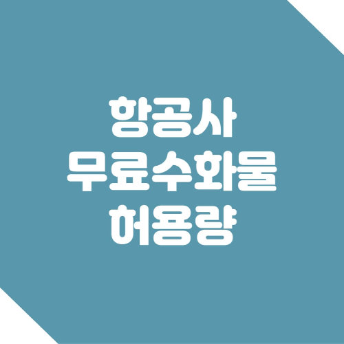 항공사 무료수화물 허용량 - 기내 반입금지 품목