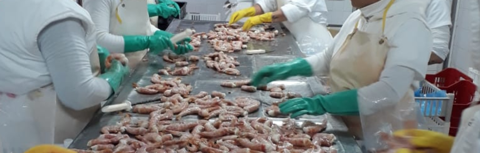 식품가공 기능사 전망과 취업