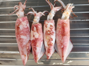 오징어 먹는 꿈 해몽