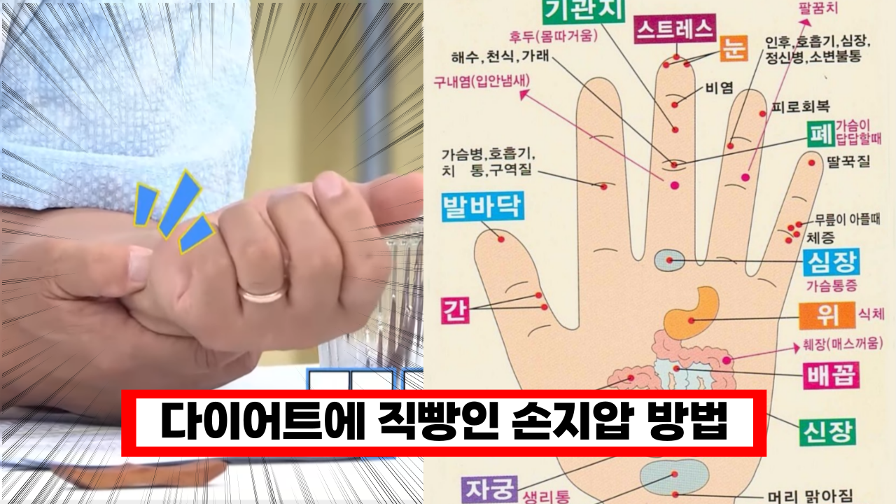  '다이어트에 직빵' 의사들도 수시로 눌른다는 다이어트 직빵 손 지압법