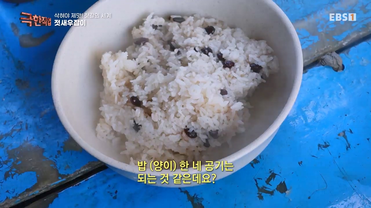 TV - 전 국민의 평생학교 EBS삭혀야 제맛! 젓갈의 세계.mp4_20231125_190843.065.jpg
