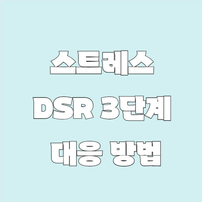 스트레스 DSR 3단계 대응 방법