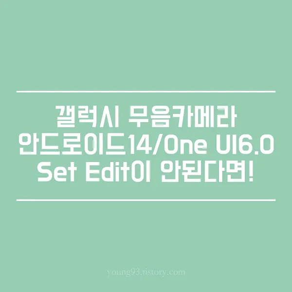  갤럭시 S24 무음카메라 설정 방법(안드로이드 14/ONE UI 6.0)/Set Edit이 안될때/갤럭시 울트라,플러스, 일반 모델