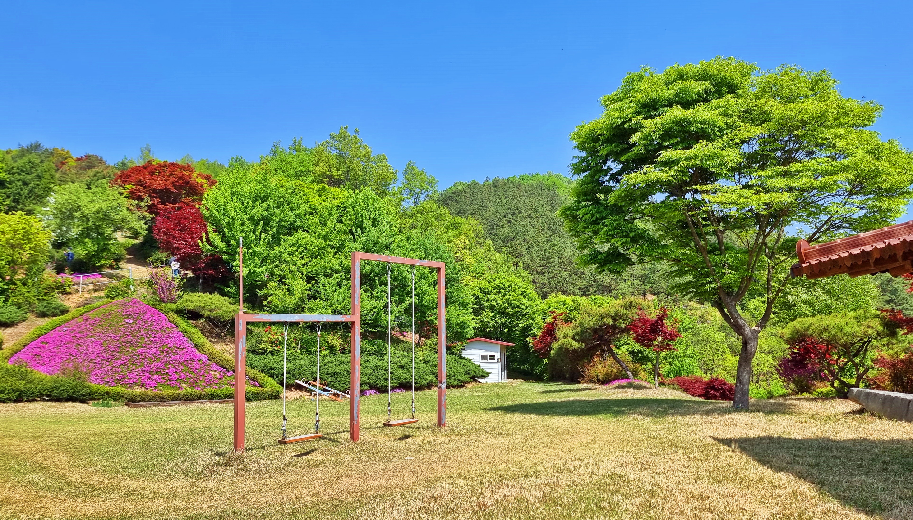 동산잔디 이미지
