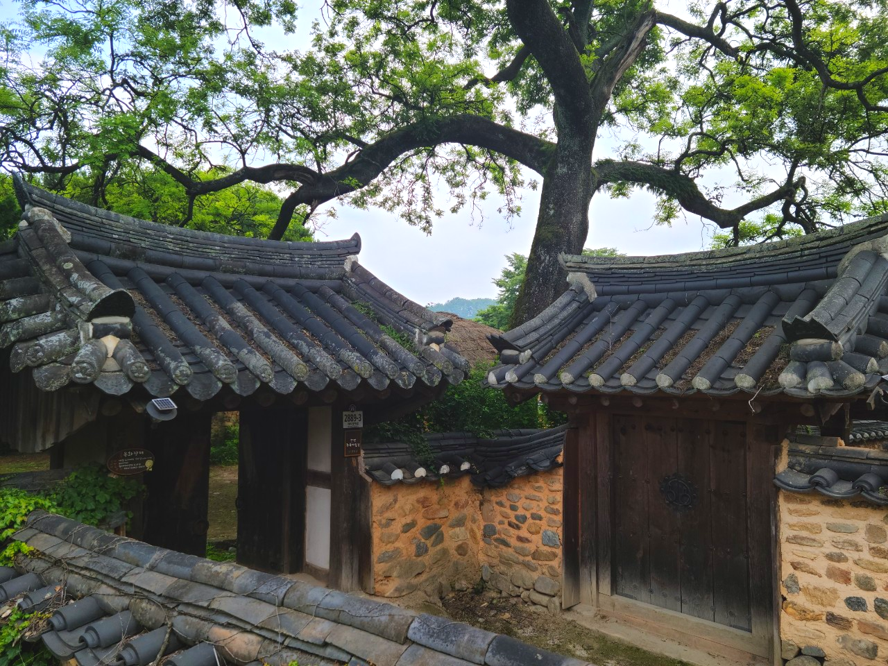 경상도여행