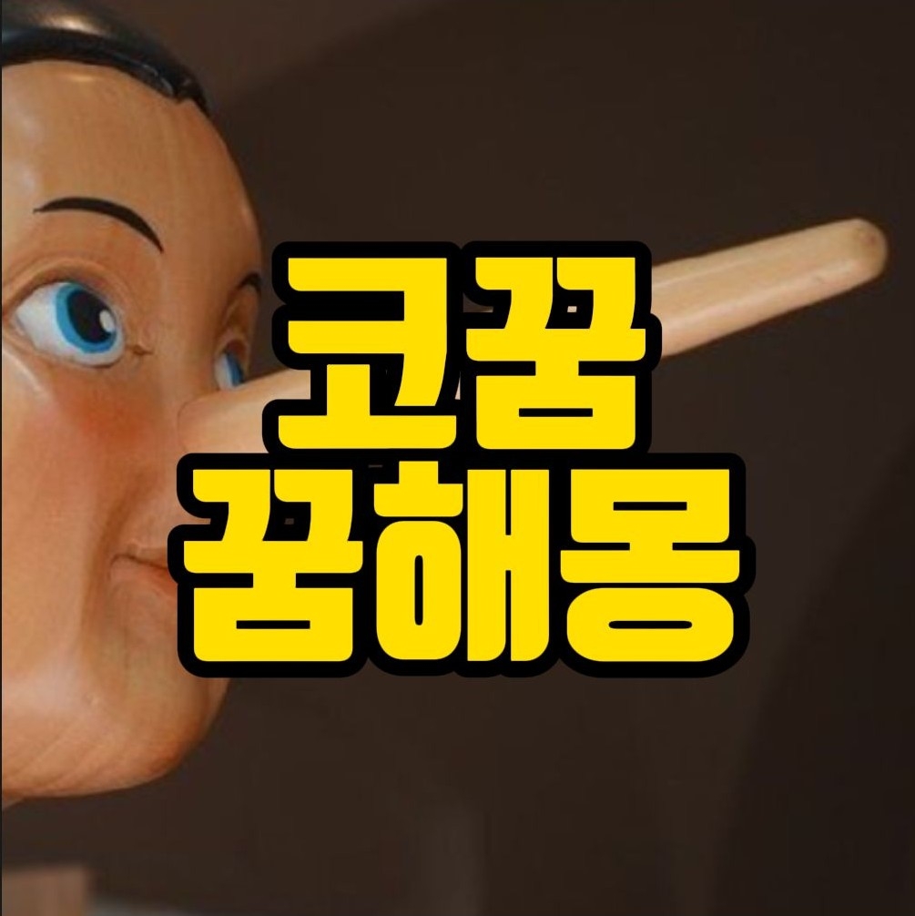  [꿈해몽] 코가 커지는꿈, 코꿈 관련 꿈풀이 22선
