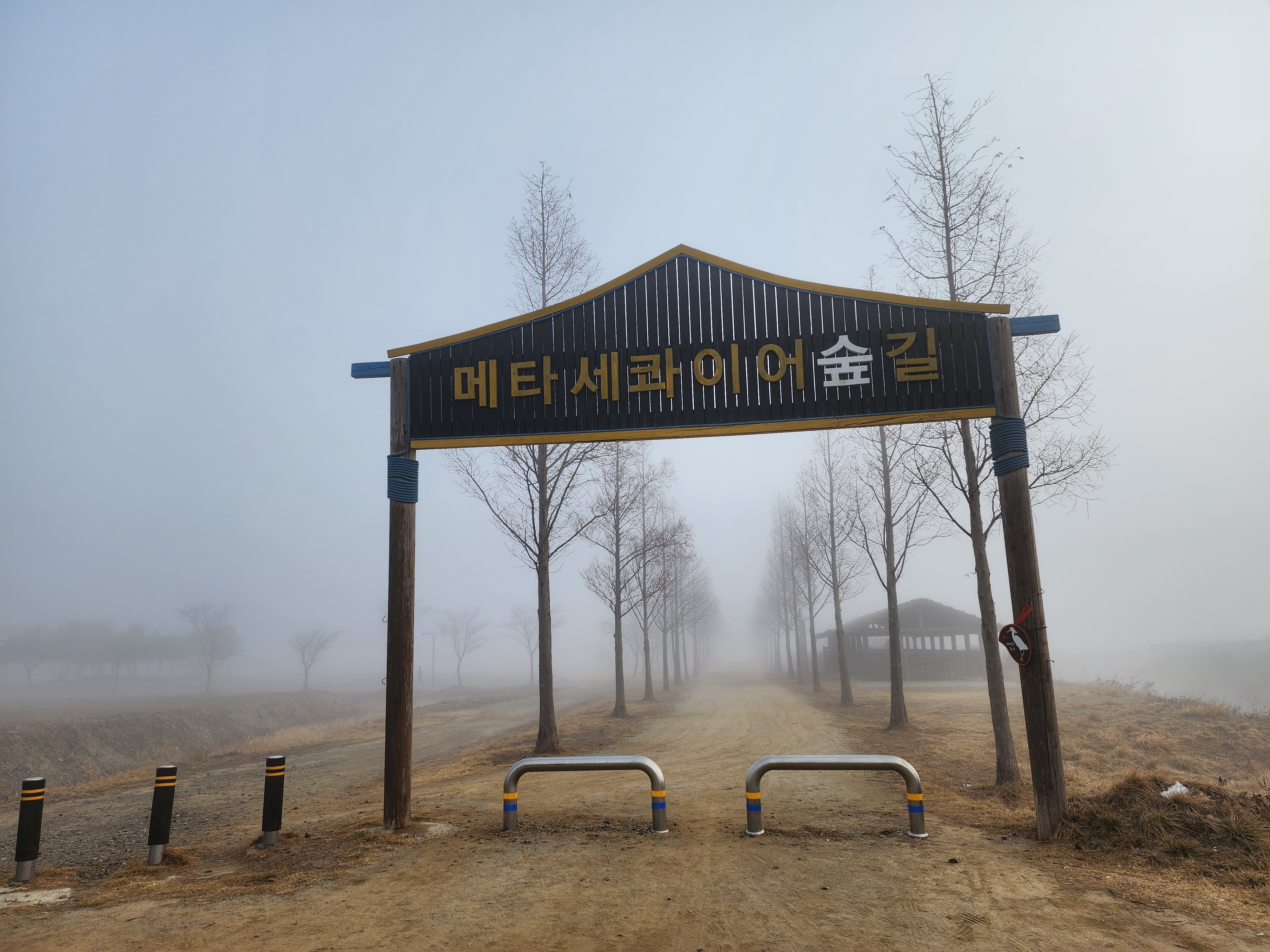 대부도 차박 15