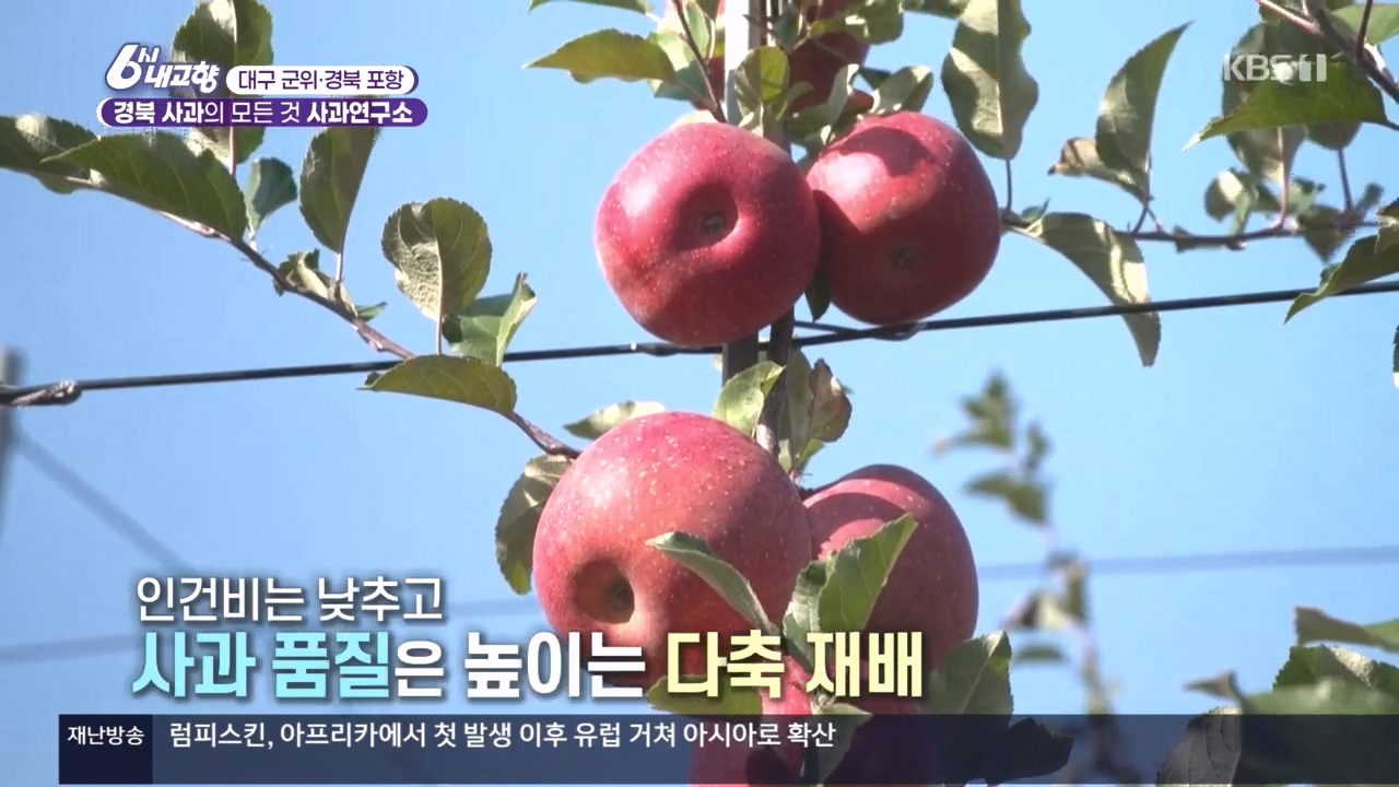 6시 내고향.E7907.231108p.H264-F1RST.mp4_20231108_203641.525.jpg