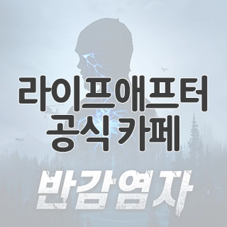  라이프애프터 공식 카페 찾아가기