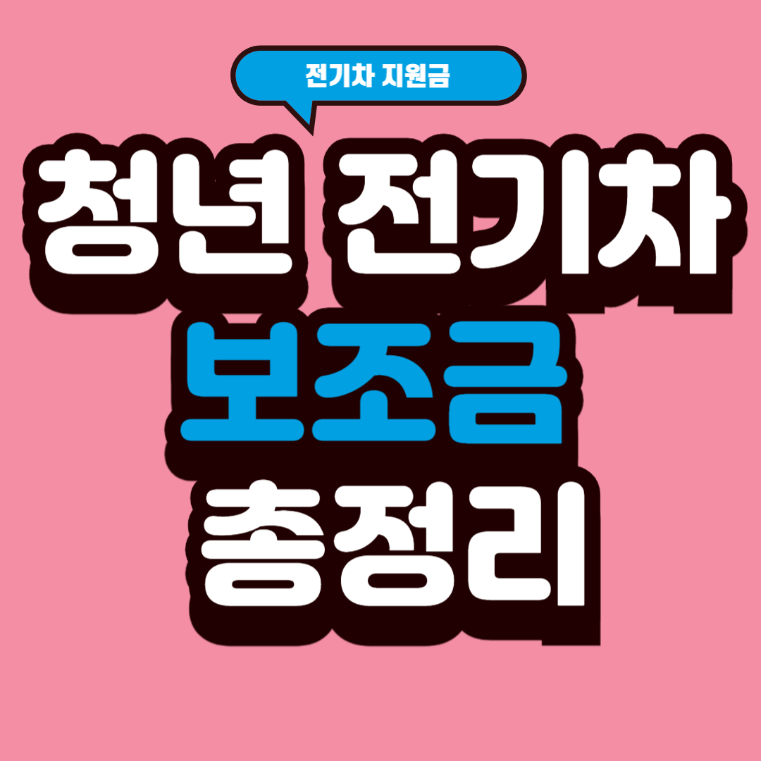 청년 전기차 보조금 총정리