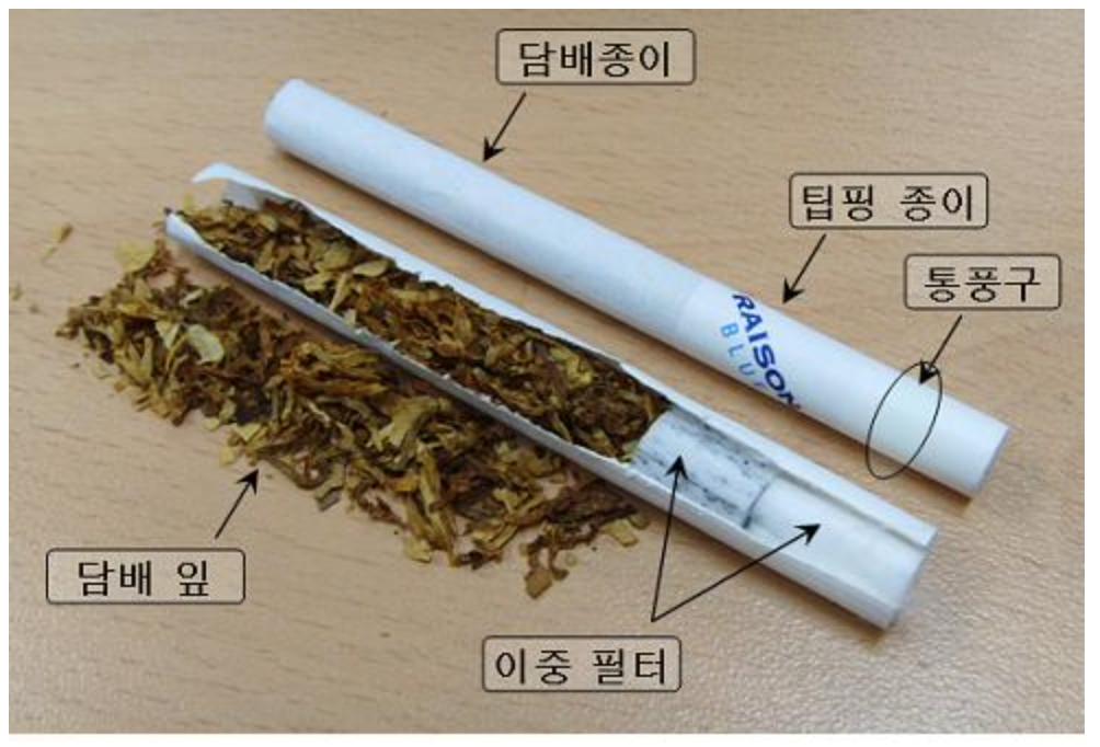 담배의 구조