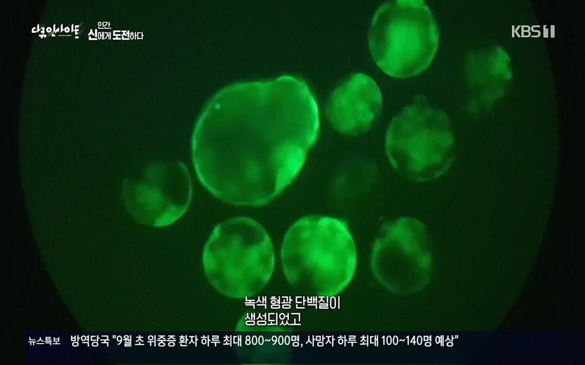 다큐 인사이트.E121.220819p.H264-F1RST.mp4_20220822_180825.093.jpg