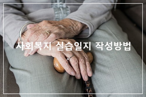 사회복지 실습일지 작성방법