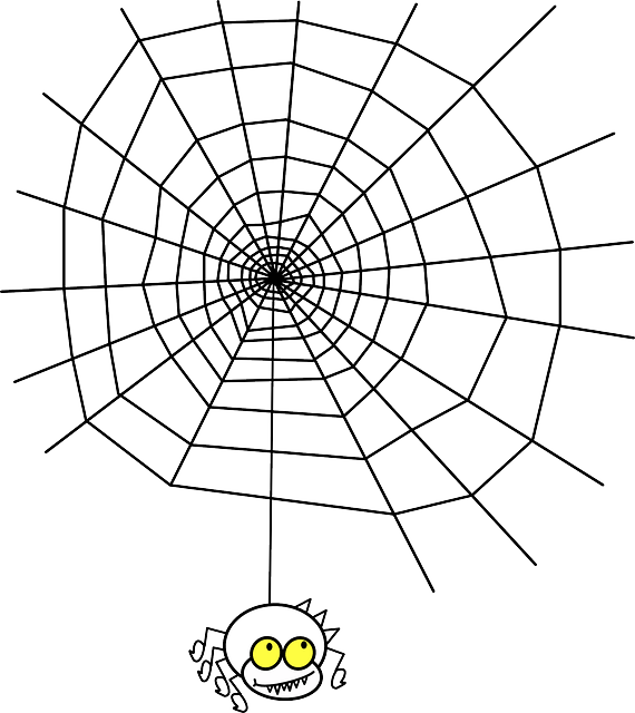 거미와 거미줄