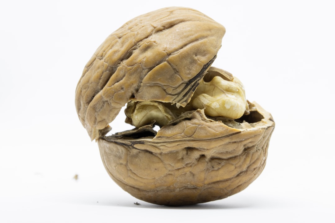 Walnut