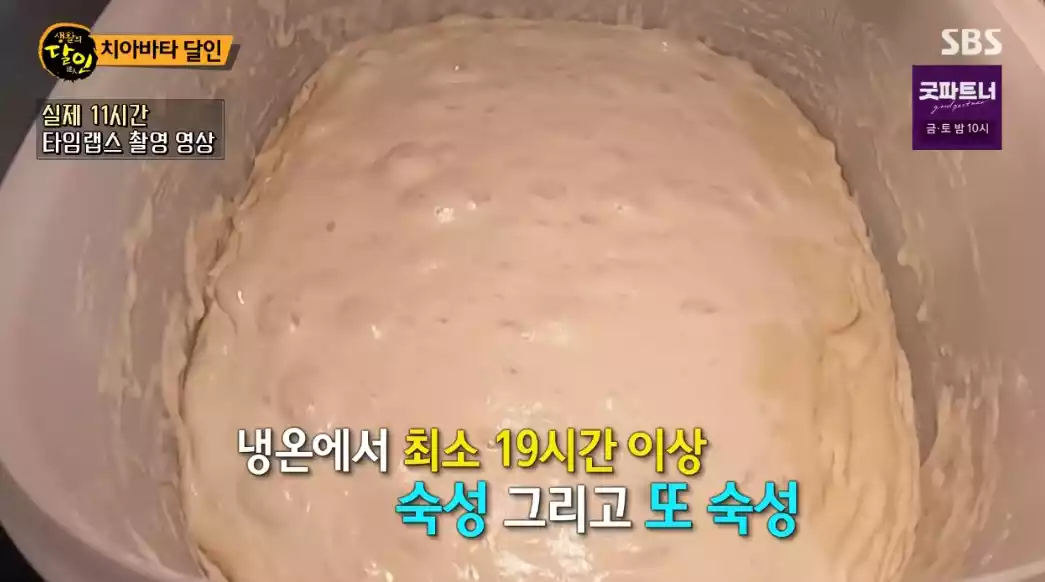 천연 발효종