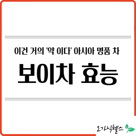 보이차 효능