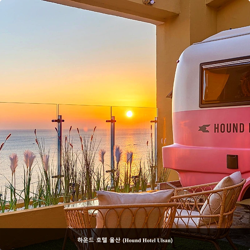 하운드 호텔 울산 (Hound Hotel Ulsan)_1