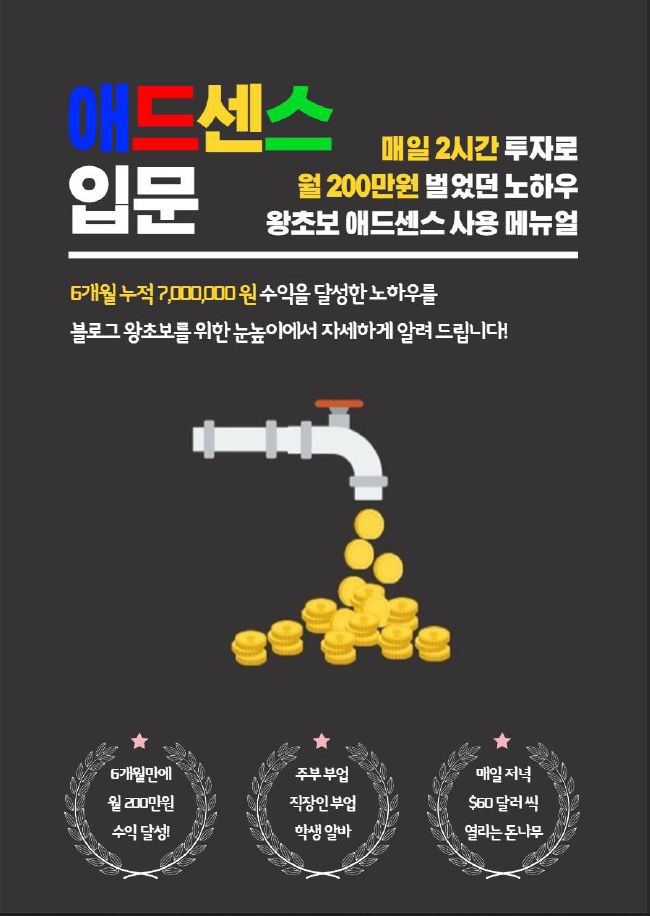  첫 전자책 구매 후기 (디지털 노마드 JAY의 애드센스 입문)