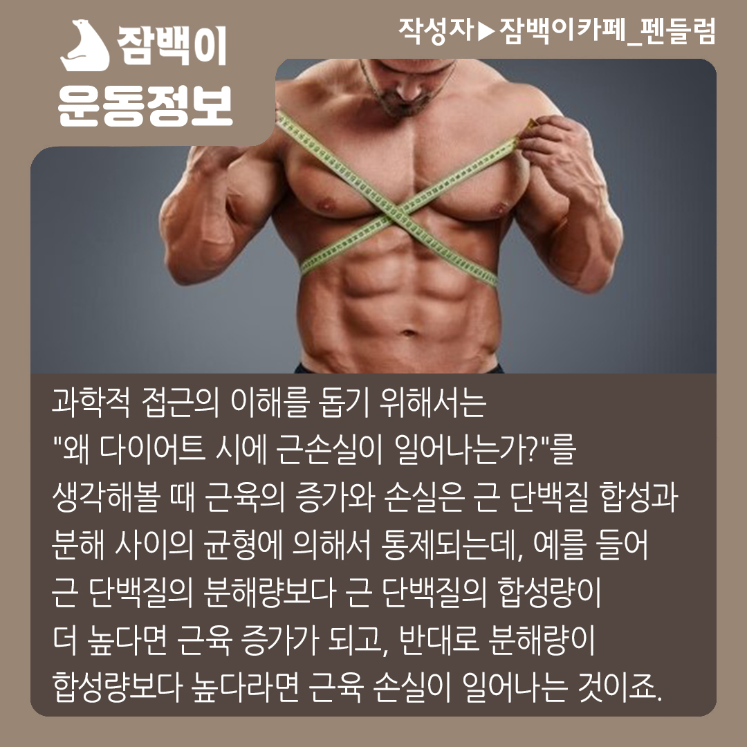 운동 시 혹은 다이어트 시 근손실을 최소화 하는 방법