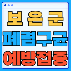 충청북도 보은군 폐렴구균 백신 무료 예방접종 비용지원 가격 신청방법 대상자 간격 13가 15가 20가 23가