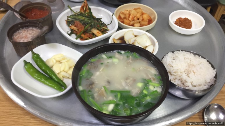  대구 도원동 행복한 돼지 국밥집 리뷰 2019/08