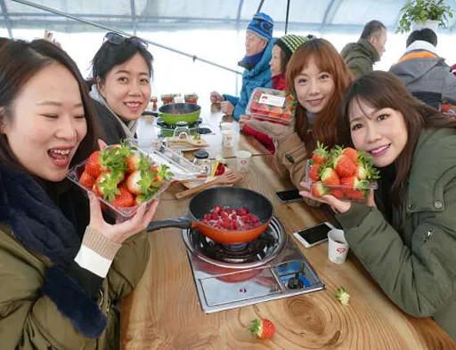 일경농원