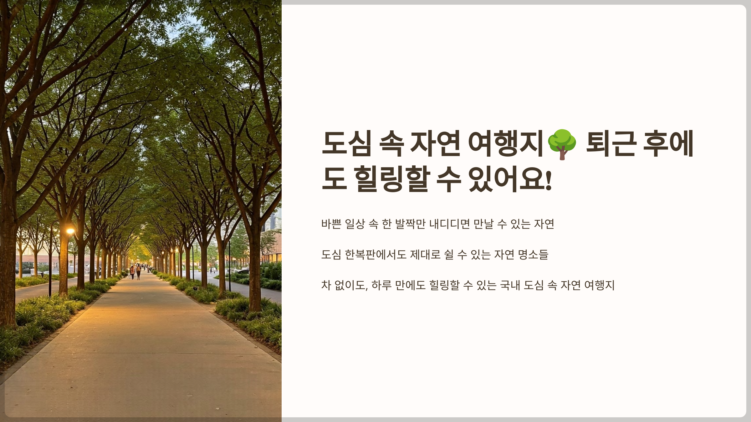 도심 속 자연 여행지, 퇴근 후에도 힐링할 수 있어요!