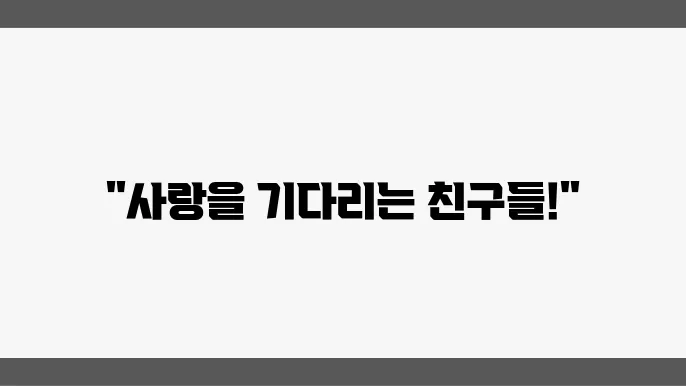 유기견보호소에서 진행하는 미사유기견보호소