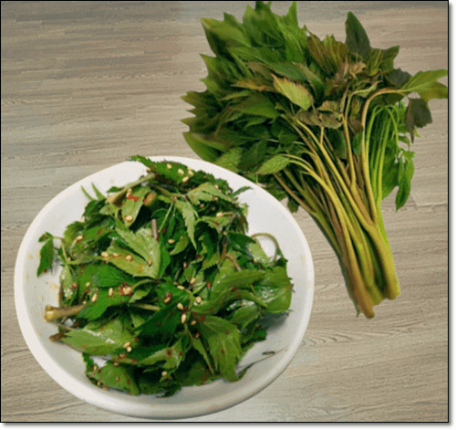 당귀잎 효능 및 영양소 먹는 법과 부작용