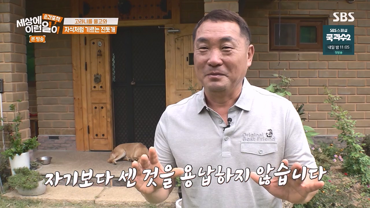 순간포착 세상에 이런일이.E1244.230903p-NEXT.mp4_20230903_173233.007.jpg