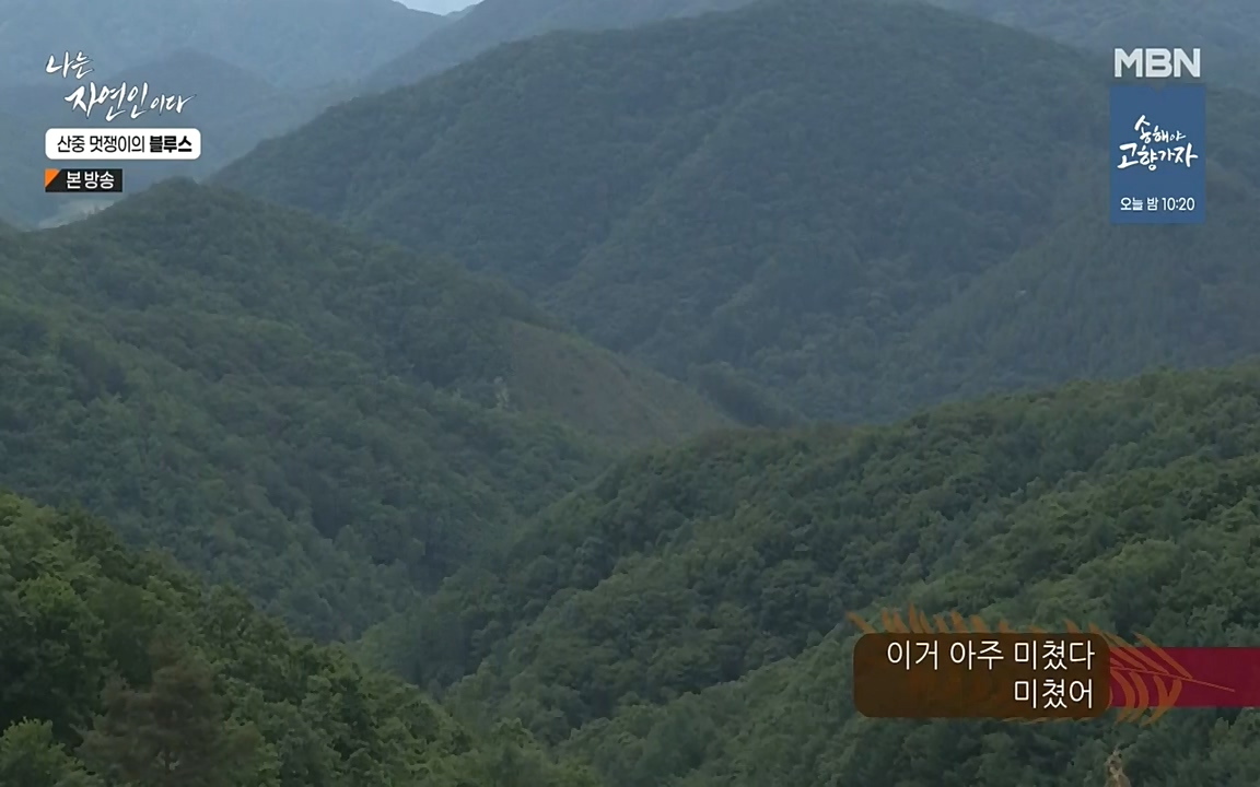 나는 자연인이다.E505.220609p-NEXT.mp4_20220609_200155.776.jpg