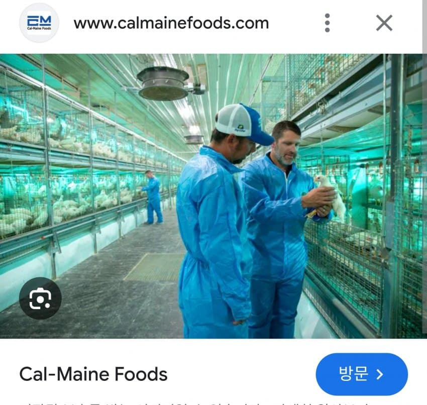 img.jpg