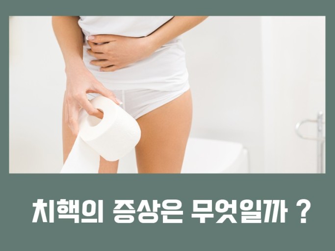 치질 (치핵, 치루) 증상, 원인과 치료