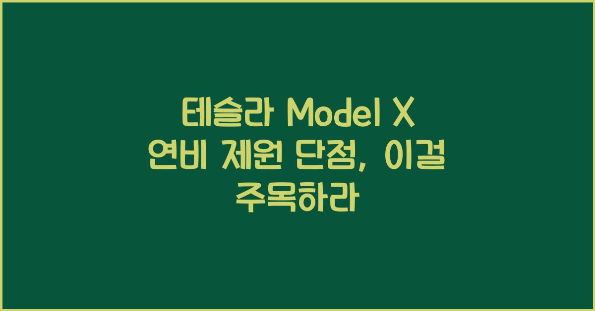 테슬라 Model X 연비 제원 단점