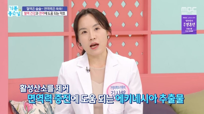 에키네시아 추출물 효능 NK세포 사이토카인 정보 안내