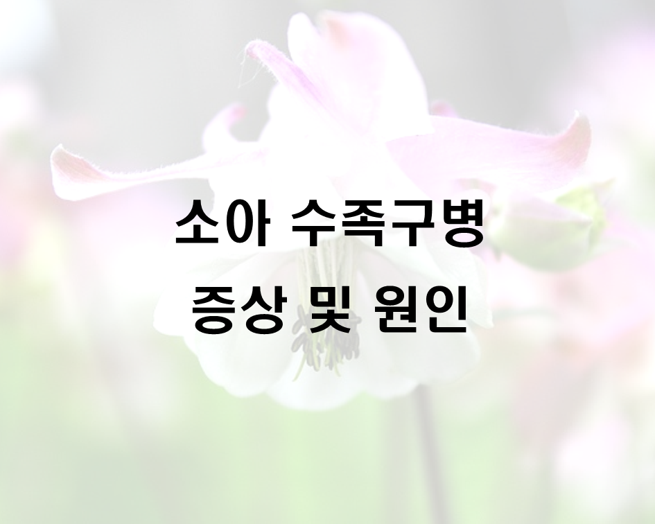  소아 수족구병 증상 및 원인