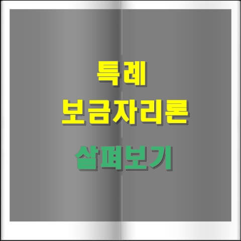  dsr적용이 없는 특례보금자리론 주요내용 확인 및 신청방법