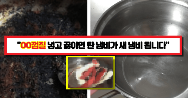  "이게 되네?" OO껍질 넣고 끓이면 탄 냄비가 새 것이 됩니다(+껍질 활용법)