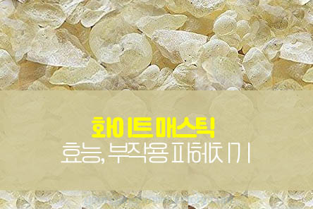 화이트-매스틱-효능-썸네일