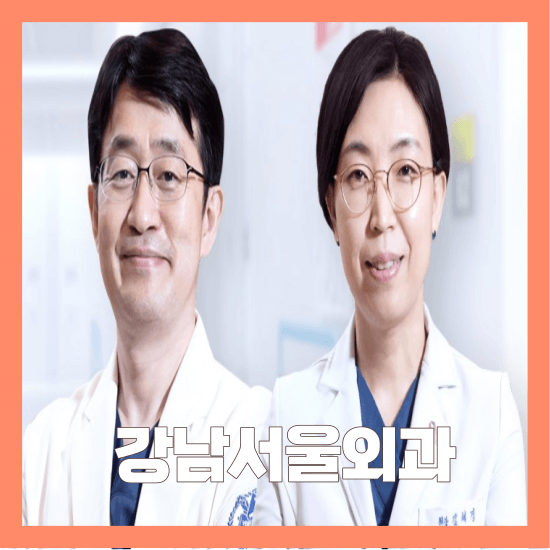 강남역 유방 갑상선 외과 병원 6곳