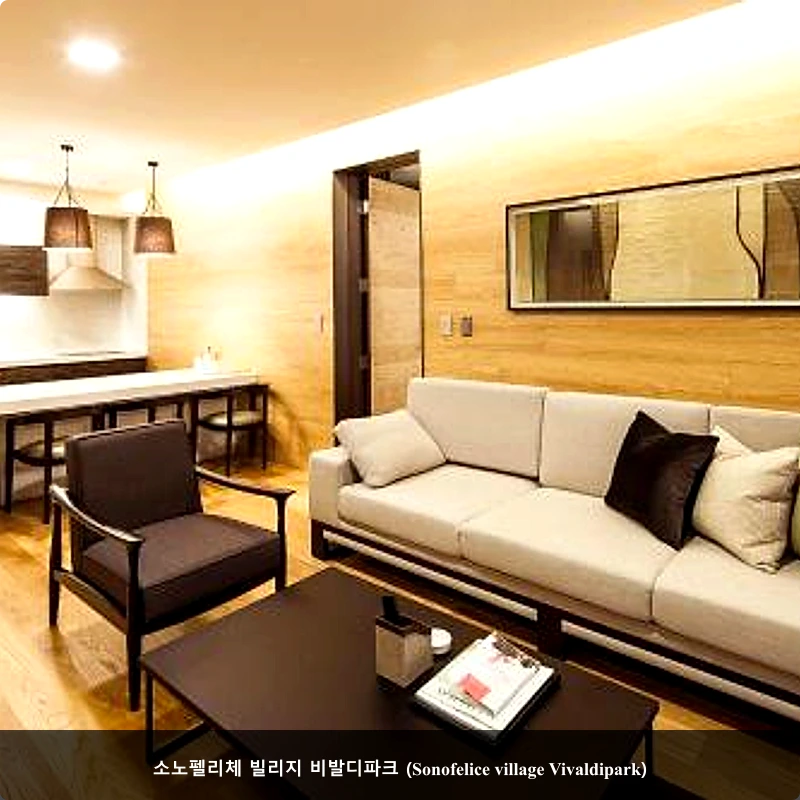 소노펠리체 빌리지 비발디파크 (Sonofelice village Vivaldipark)_2