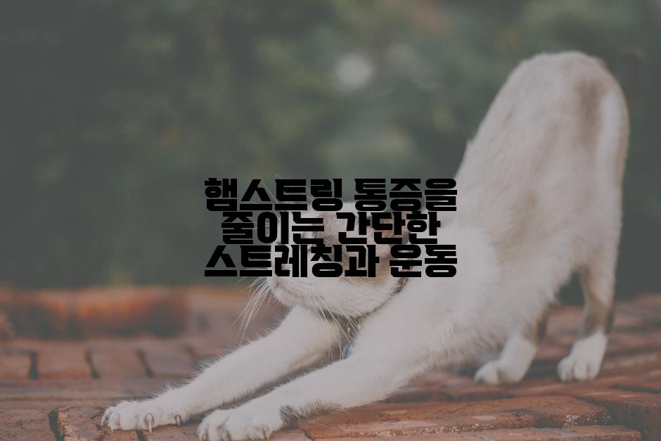 햄스트링 통증을 줄이는 간단한 스트레칭과 운동