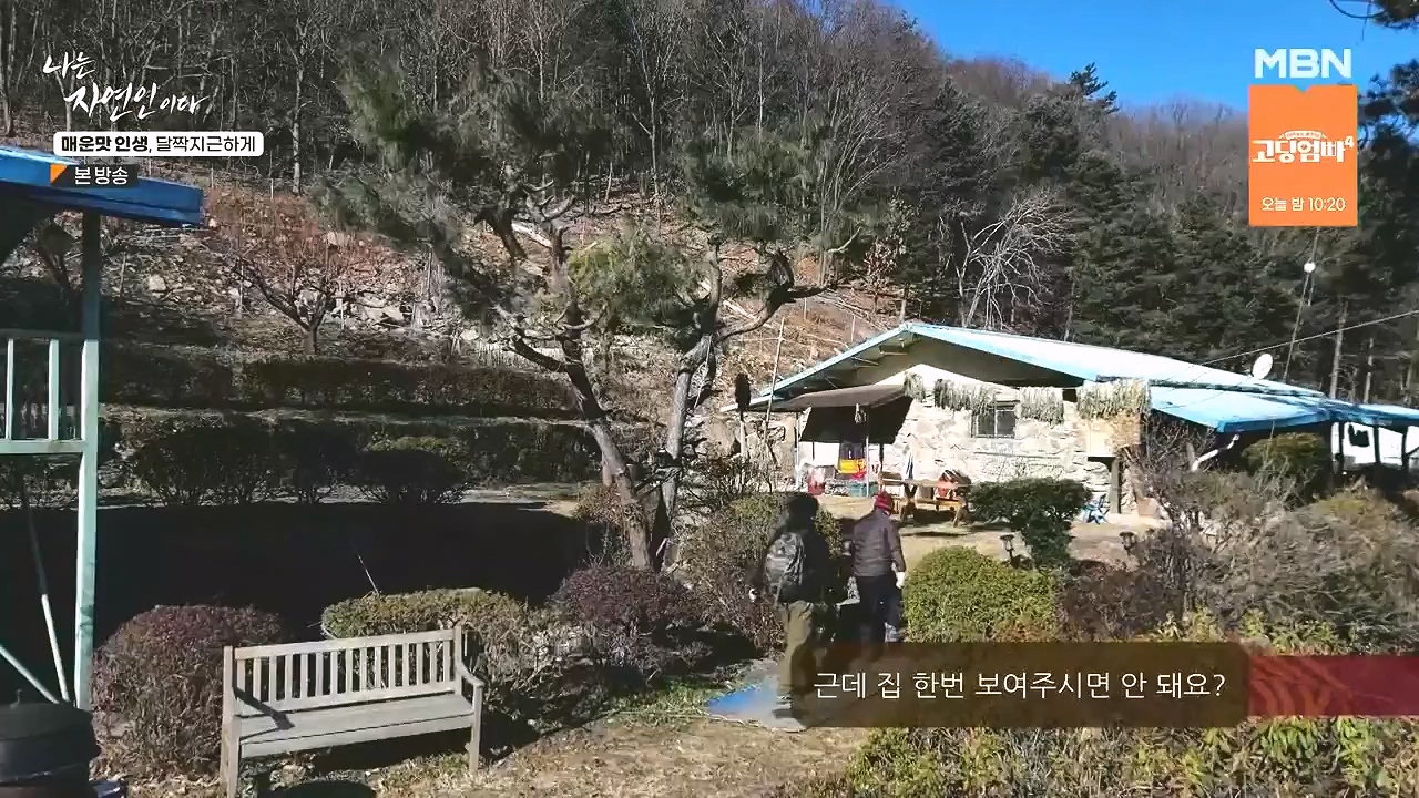 나는 자연인이다.E585.231221p-NEXT.mp4_20231221_200829.081.jpg