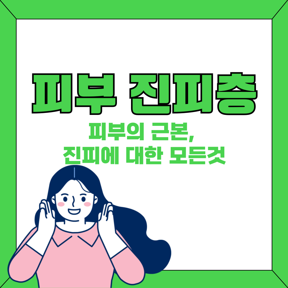 피부의 근본, 진피에 대한 모든것