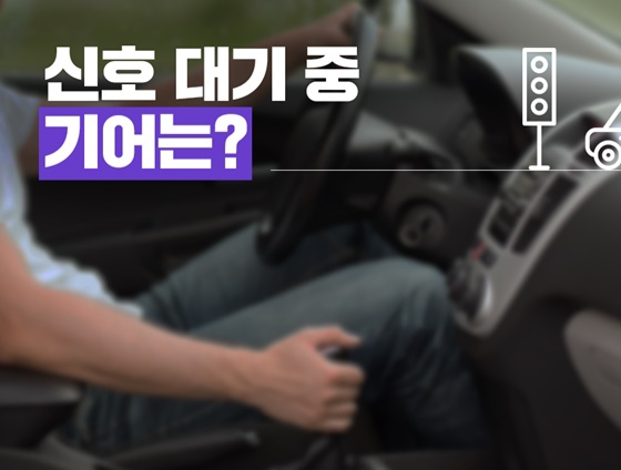  신호대기중 기어 중립 어떻게 해야할까