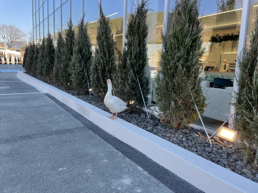 사랑 <느티나무의 > 18