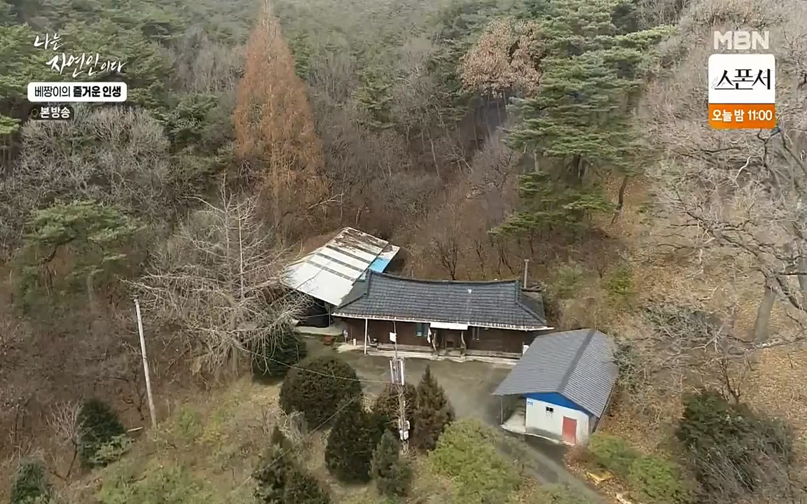 나는 자연인이다.E495.220331p-NEXT.mp4_20220331_174334.778.jpg